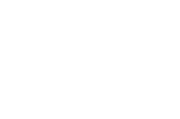 Logo Vorarlberger Eislaufverband